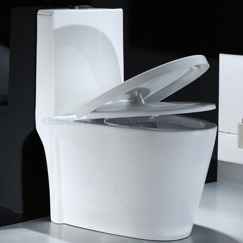 Bồn cầu sứ Canary CA-C01